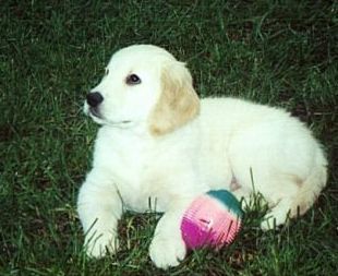 sunny9wks2-sized.jpg