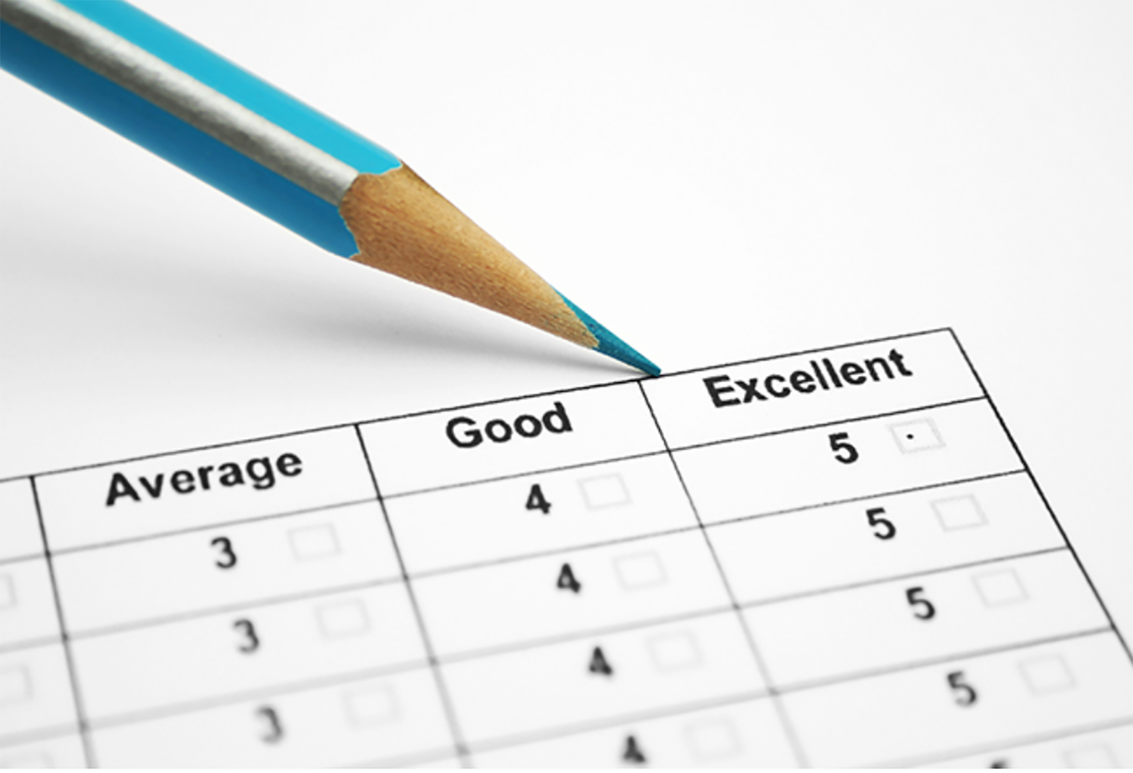 blue pencil marking survey