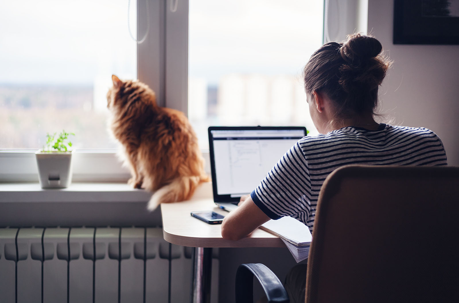 woman working on laptop at home while cat looks out nearby window